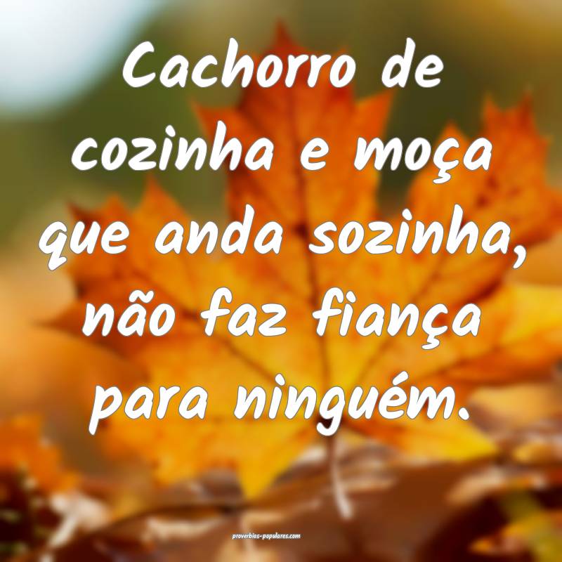 Cachorro de cozinha e moça que anda sozinha, não faz fiança para ni...