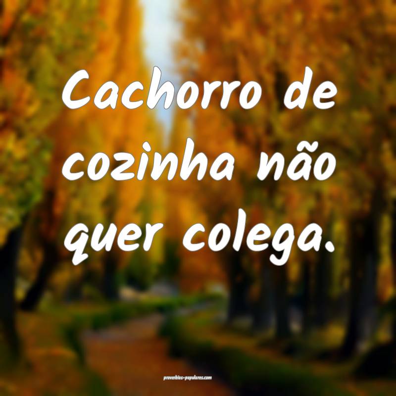 Cachorro de cozinha não quer colega.
...