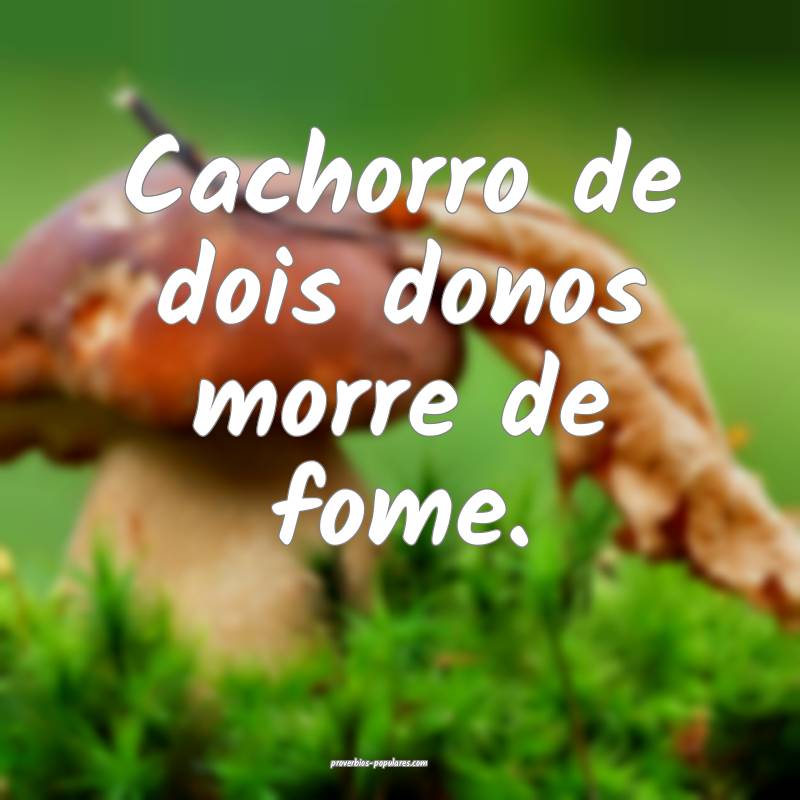 Cachorro de dois donos morre de fome.
...