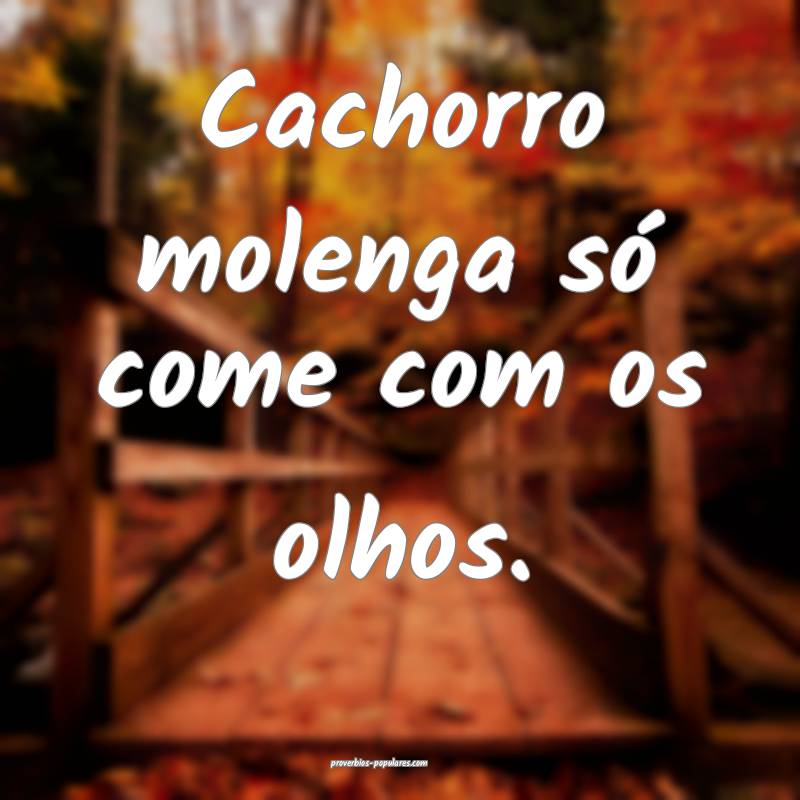 Cachorro molenga só come com os olhos.
 ...