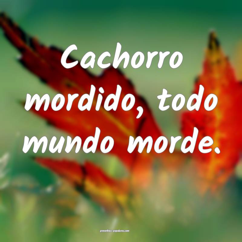 Cachorro mordido, todo mundo morde.
 ...