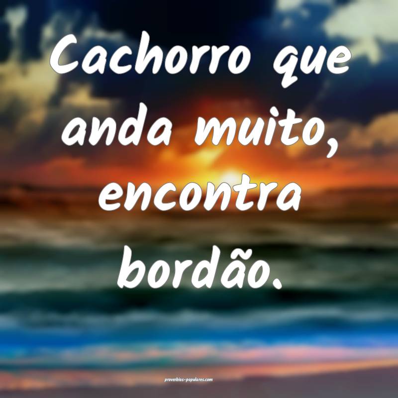 Cachorro que anda muito, encontra bordão.
...