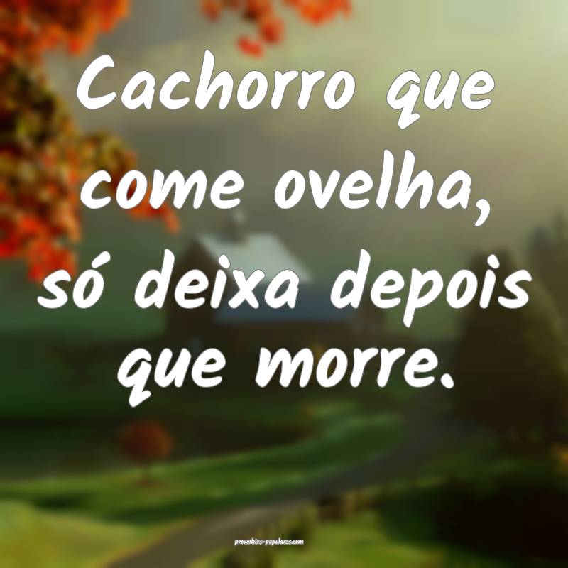 Cachorro que come ovelha, só deixa depois que morre.
...