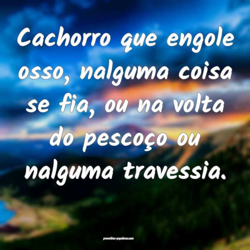 Cachorro que engole osso, nalguma coisa se fia, ou ...