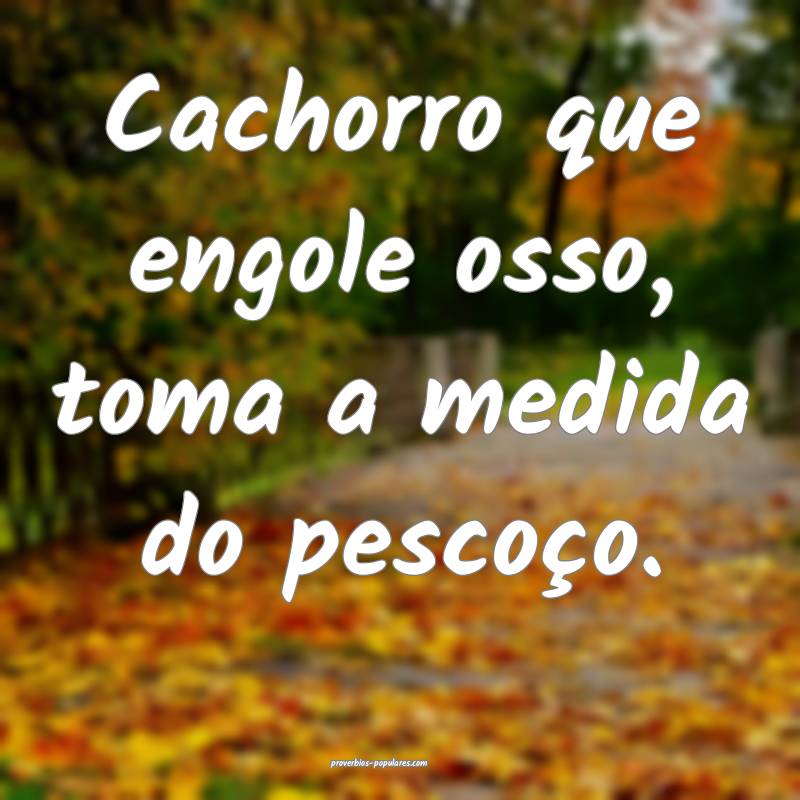 Cachorro que engole osso, toma a medida do pescoço.
...