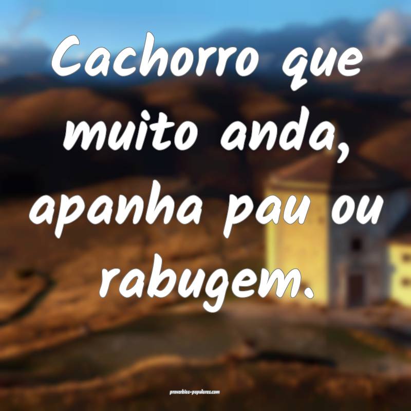 Cachorro que muito anda, apanha pau ou rabugem.
...