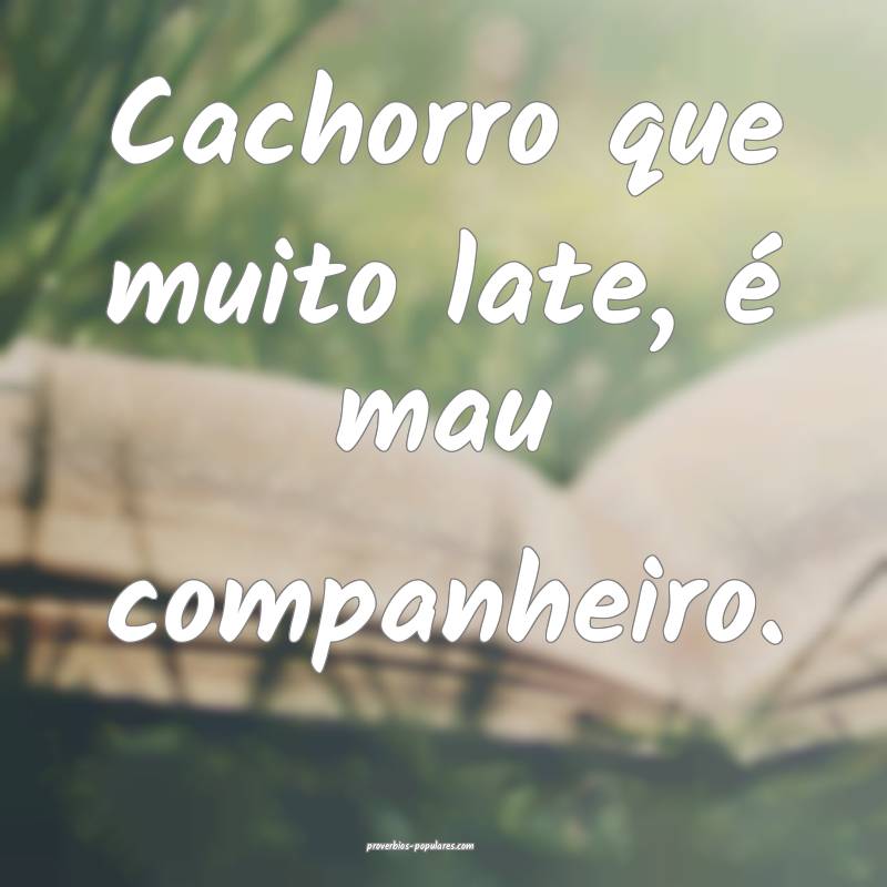 Cachorro que muito late, é mau companheiro.
...