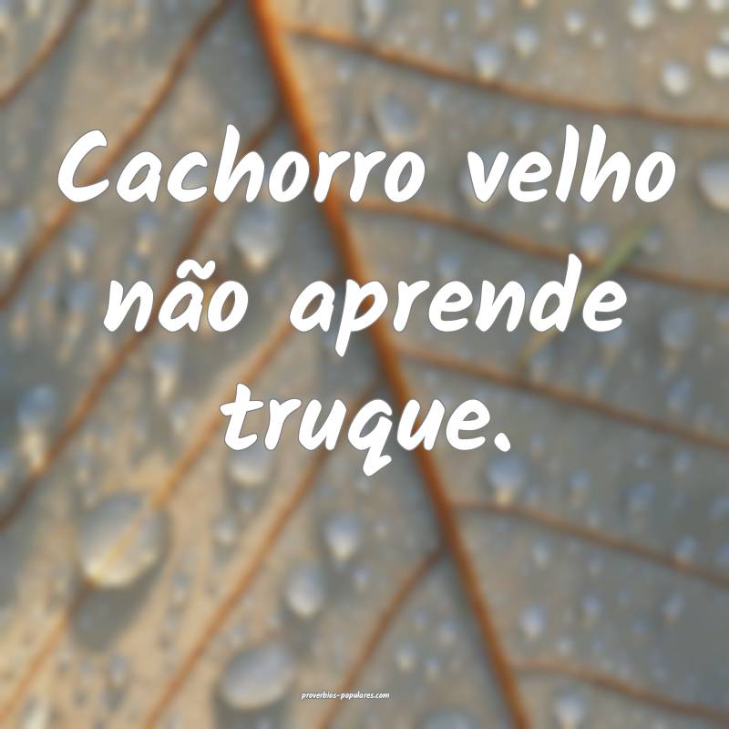 Cachorro velho não aprende truque.
...