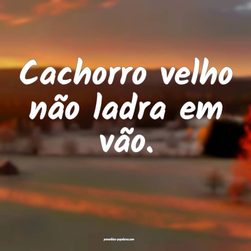 Cachorro velho não ladra em vão.
...