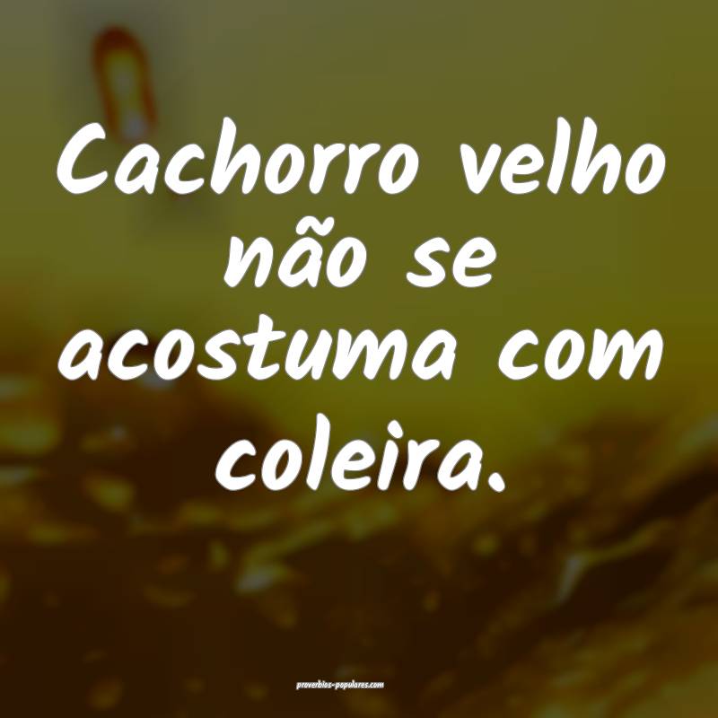 Cachorro velho não se acostuma com coleira.
...