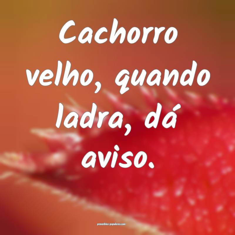 Cachorro velho, quando ladra, dá aviso.
...