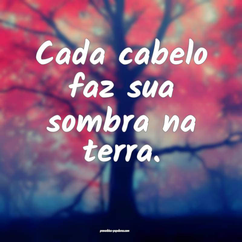 Cada cabelo faz sua sombra na terra.
 ...
