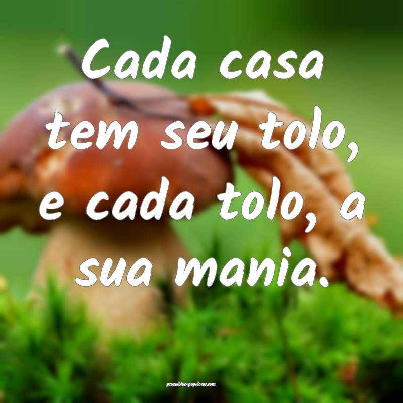 Cada casa tem seu tolo, e cada tolo, a sua mania.
...