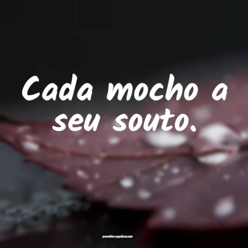 Cada mocho a seu souto.
...