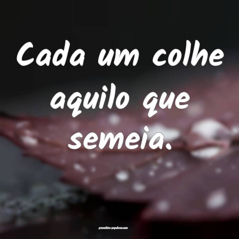 Cada um colhe aquilo que semeia.
...