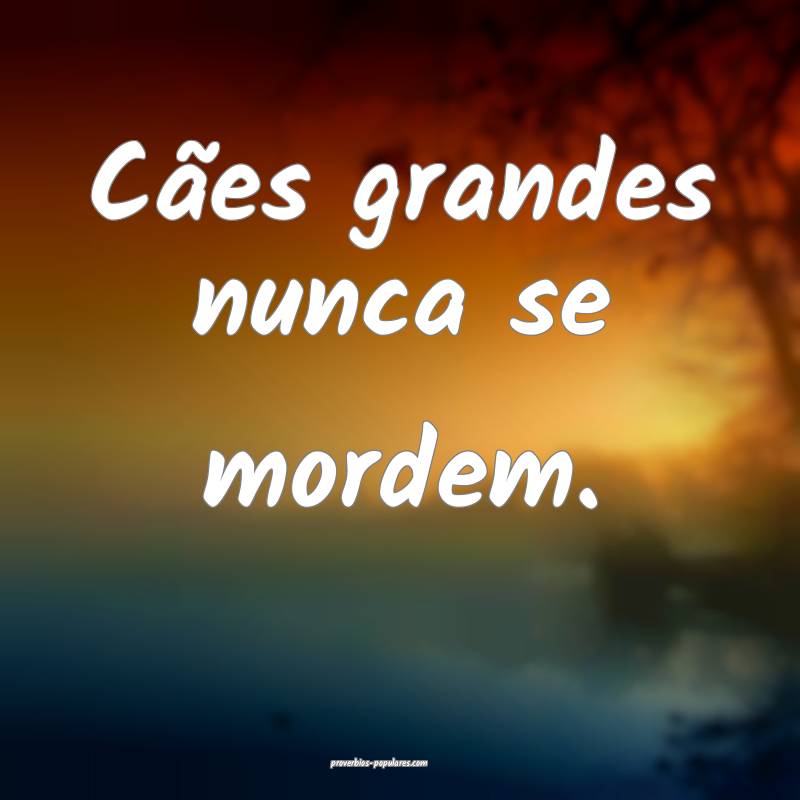 Cães grandes nunca se mordem.
...