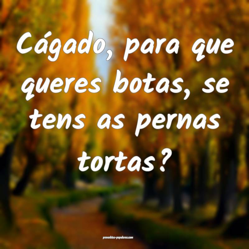 Cágado, para que queres botas, se tens as pernas tortas?
...