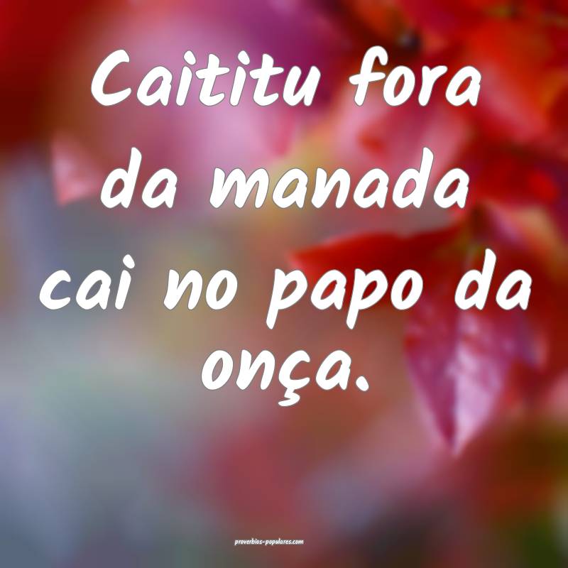 Caititu fora da manada cai no papo da onça.
 ...