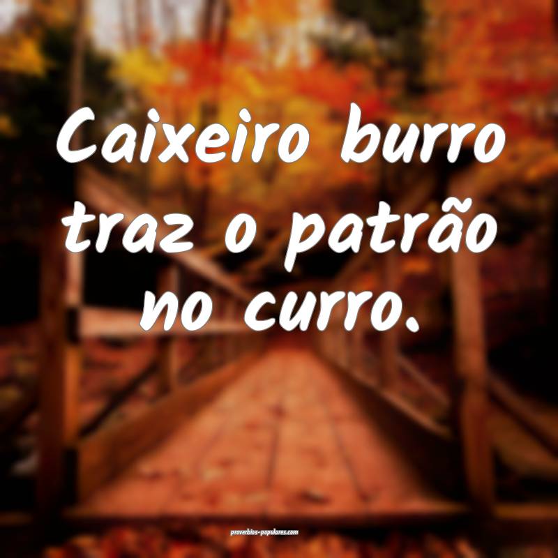 Caixeiro burro traz o patrão no curro.
 ...