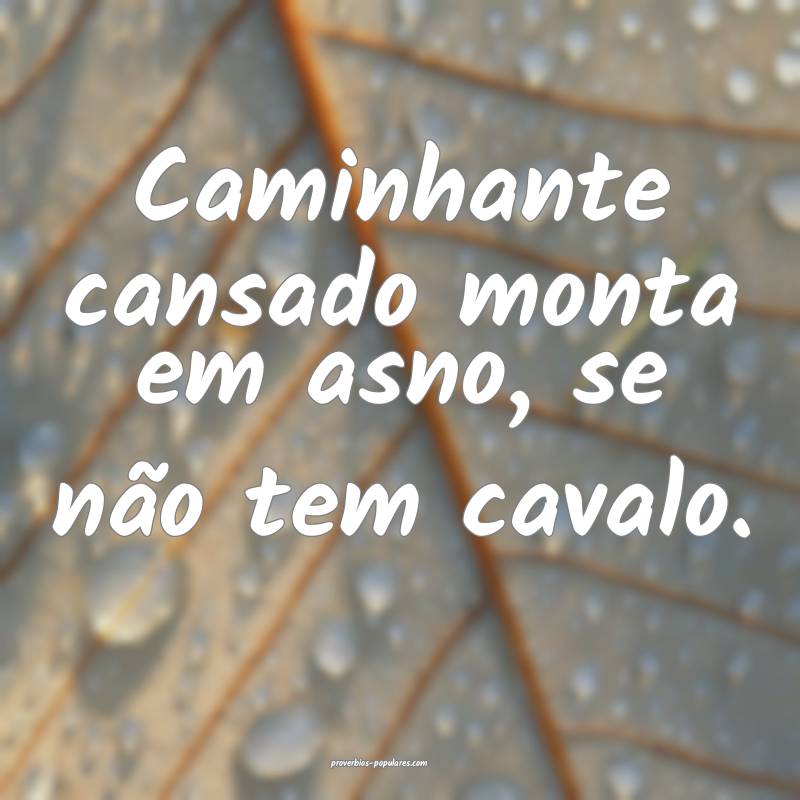 Caminhante cansado monta em asno, se não tem cavalo.
...