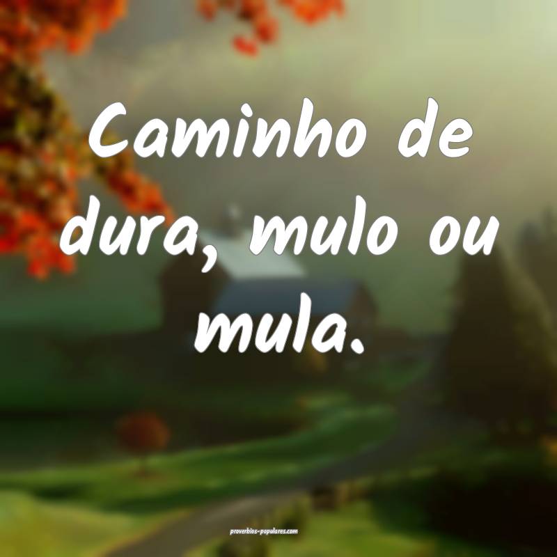 Caminho de dura, mulo ou mula.
...