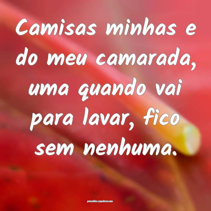 Camisas minhas e do meu camarada, uma quando vai para lavar, fico sem ...