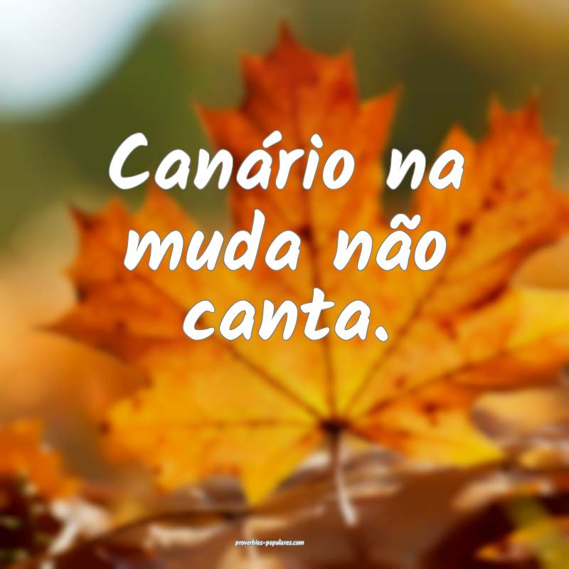 Canário na muda não canta.
...