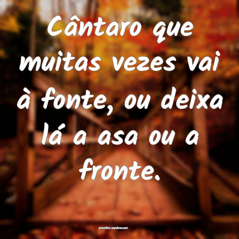 Cântaro que muitas vezes vai à fonte, ou deixa lá a asa ou a fronte...