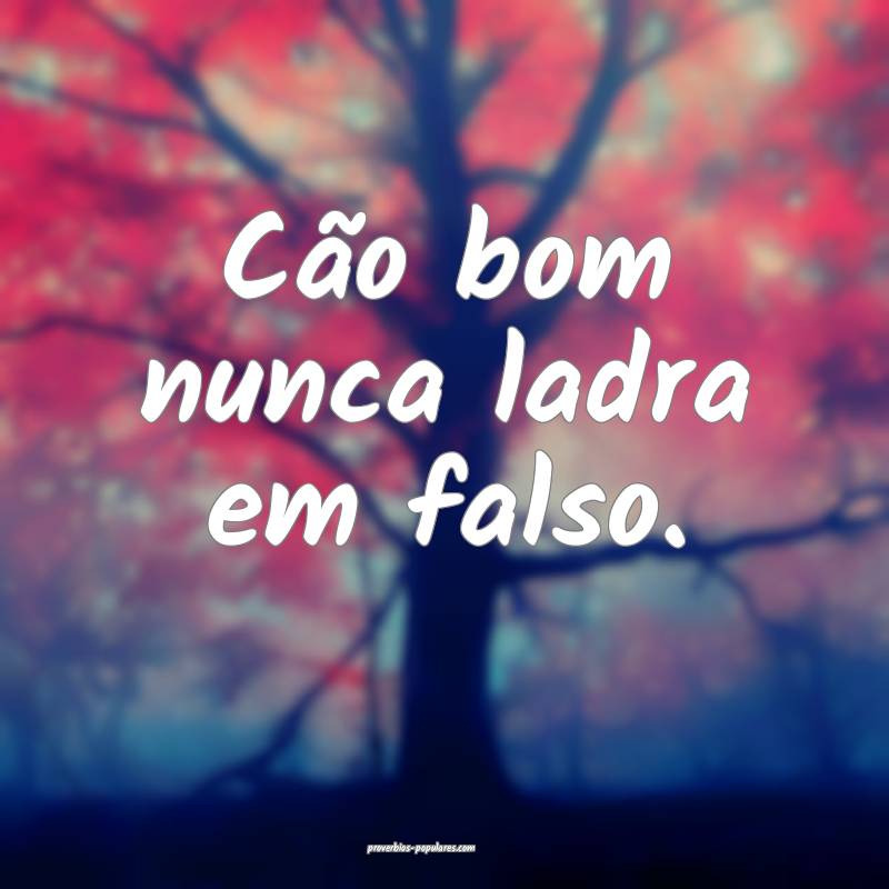 Cão bom nunca ladra em falso.
 ...