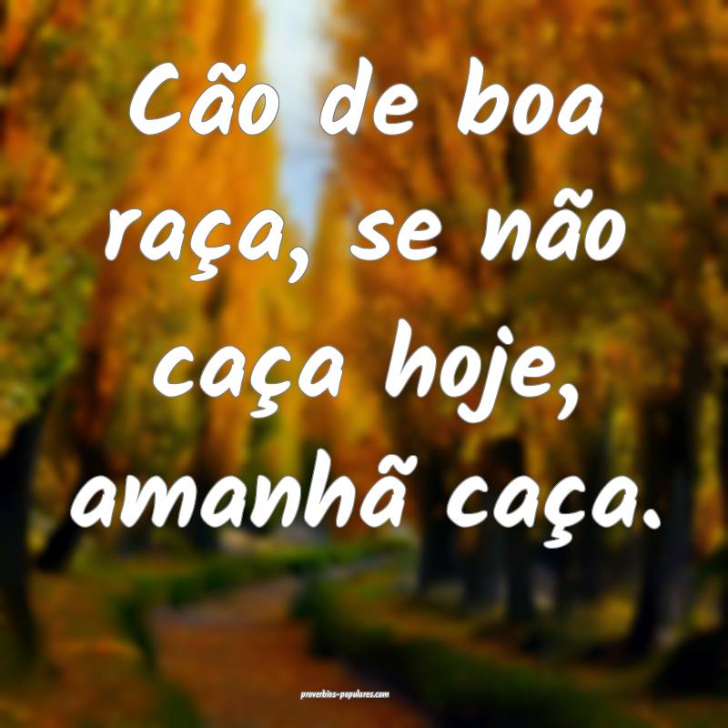 Cão de boa raça, se não caça hoje, amanhã caça.
...