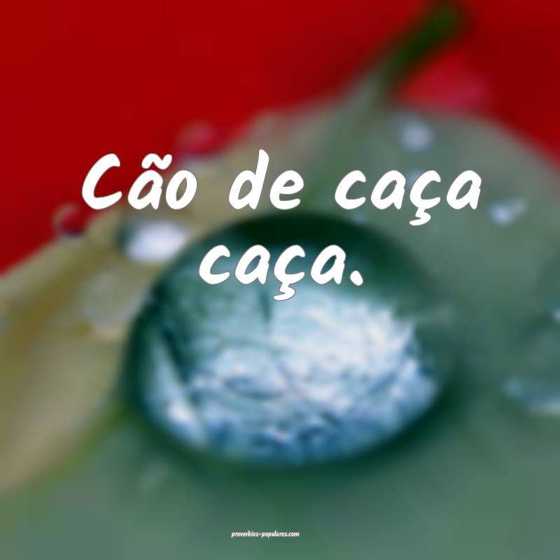 Cão de caça caça.
...