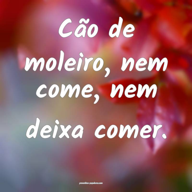Cão de moleiro, nem come, nem deixa comer.
...