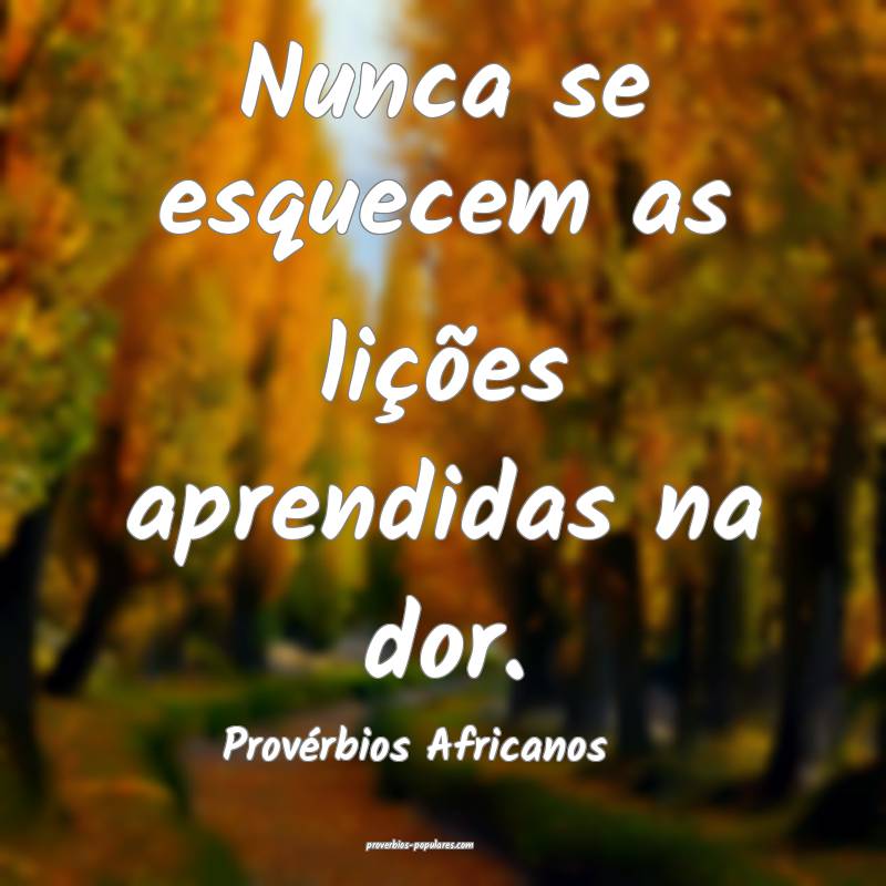 Provérbios Africanos - Nunca se esquecem as liç ...