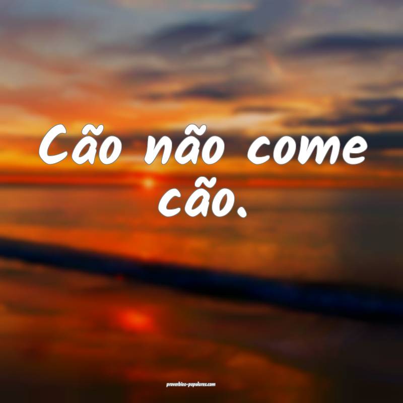 Cão não come cão.
 ...