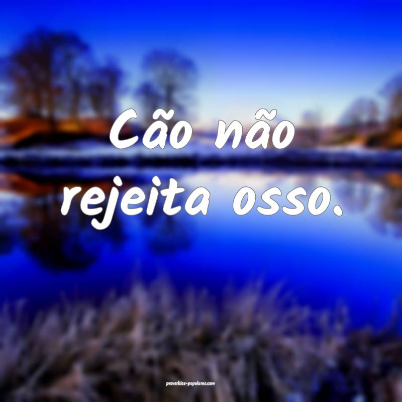 Cão não rejeita osso.
 ...