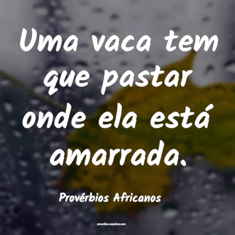 Uma vaca tem que pastar onde ela está amarrada.
...