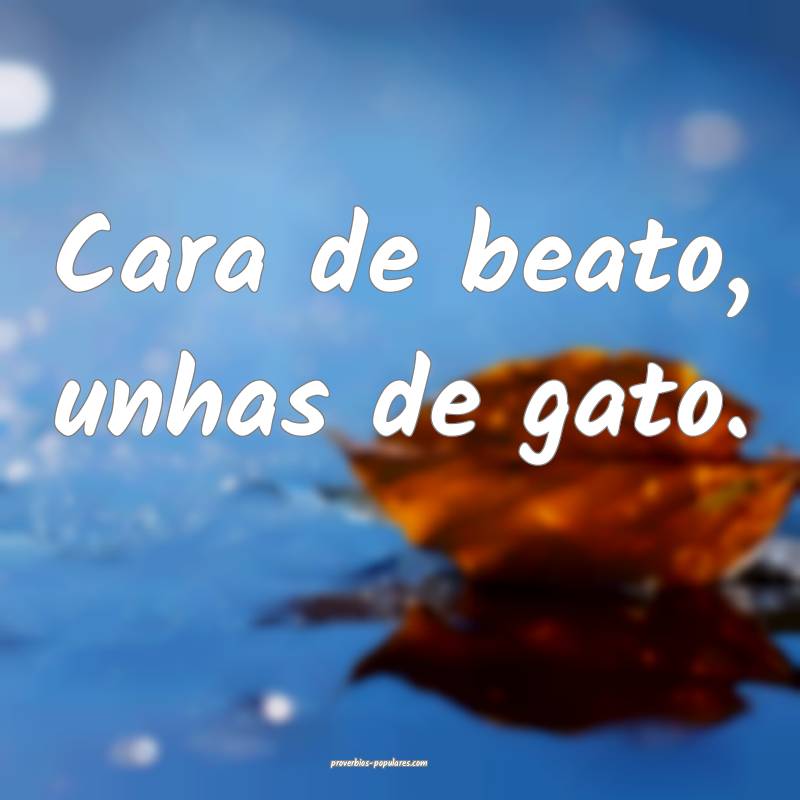 Cara de beato, unhas de gato.
...