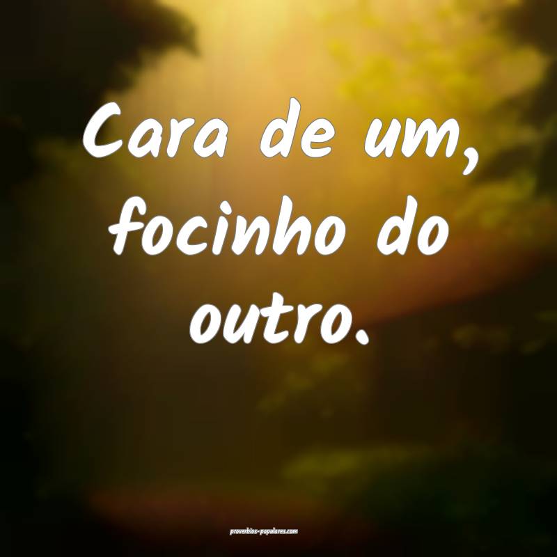 Cara de um, focinho do outro.
 ...