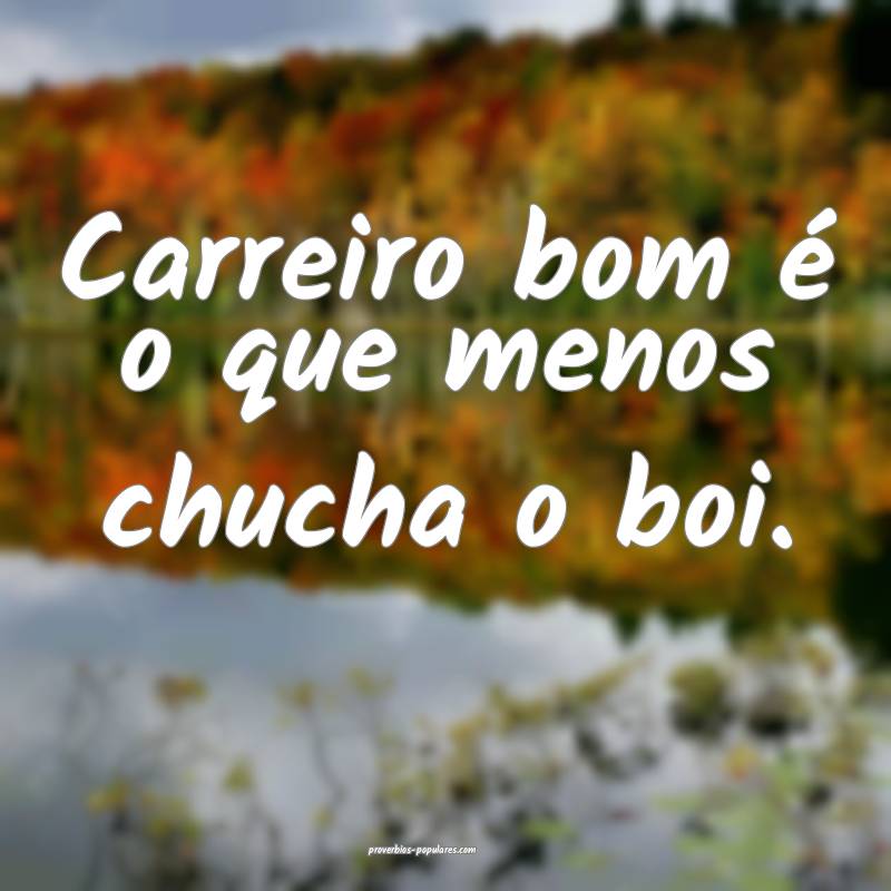 Carreiro bom é o que menos chucha o boi.
...
