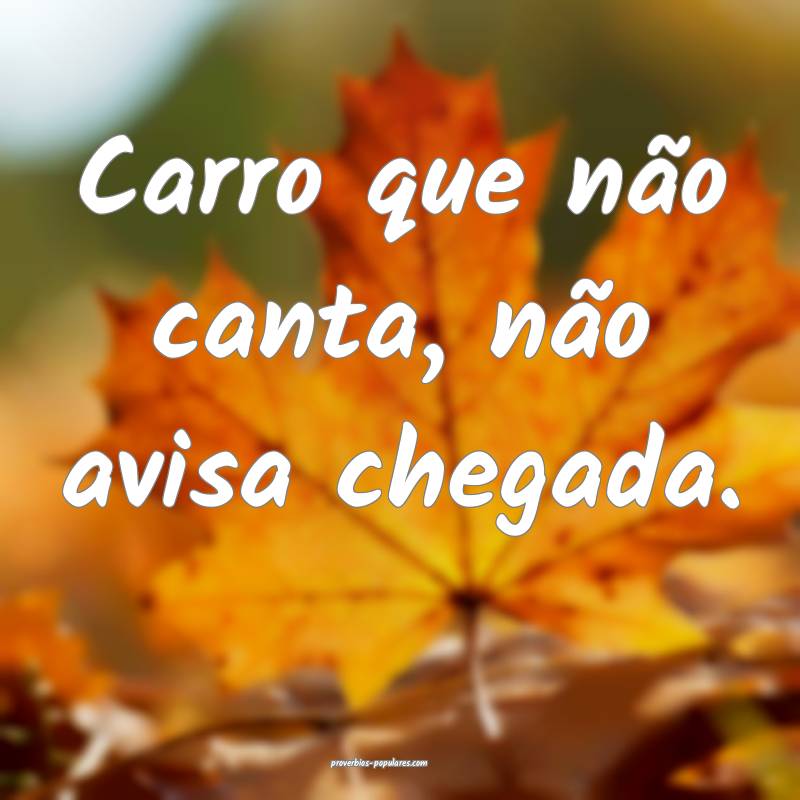 Carro que não canta, não avisa chegada.
...