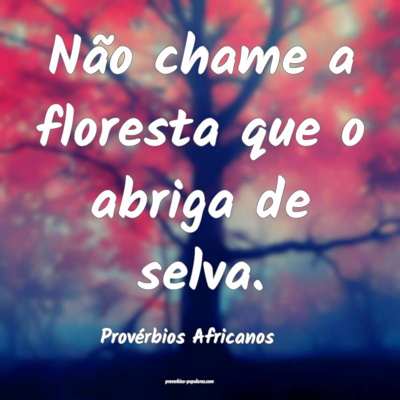 Não chame a floresta que o abriga de selva.
...