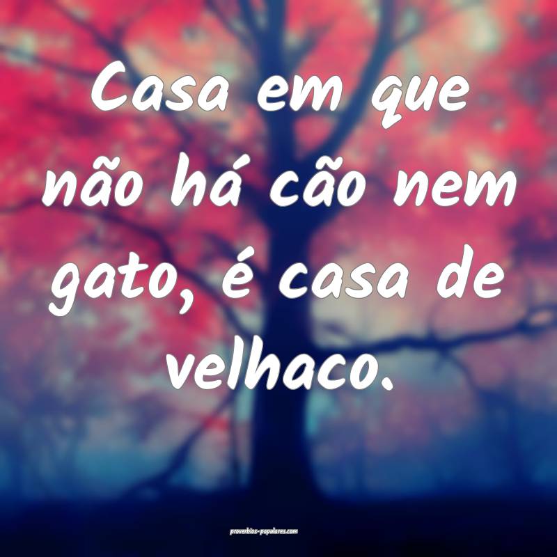 Casa em que não há cão nem gato, é casa de vel ...