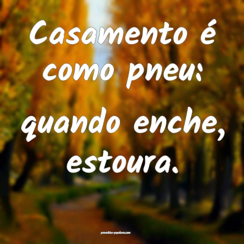 Casamento é como pneu: quando enche, estoura.
 ...