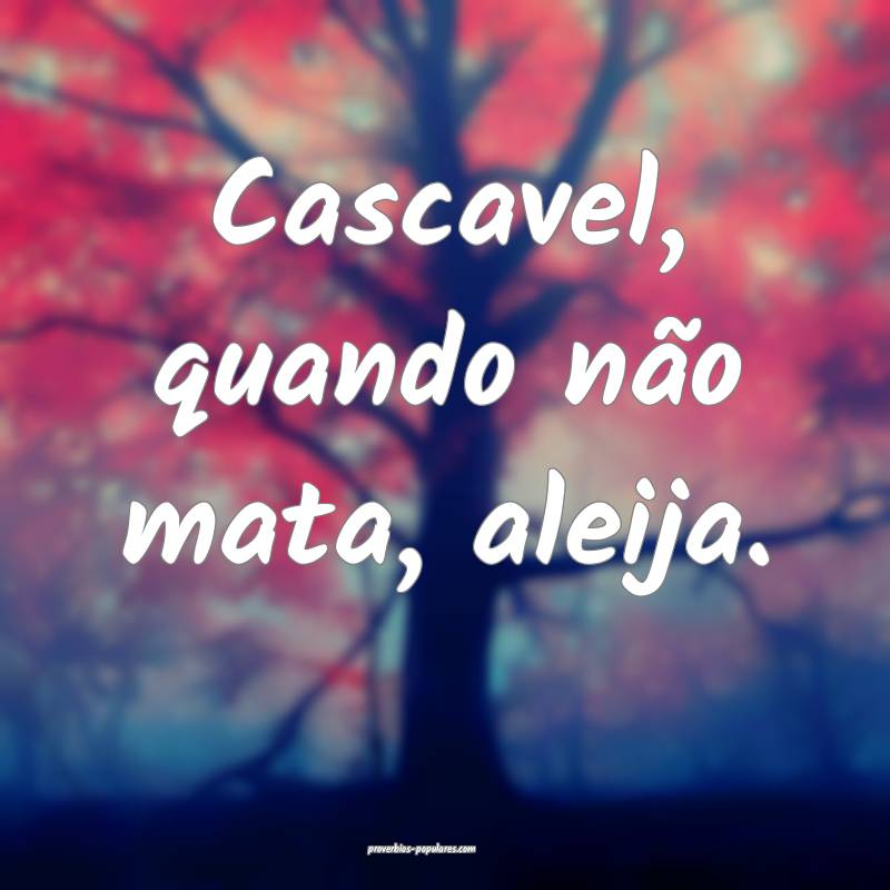 Cascavel, quando não mata, aleija.
 ...