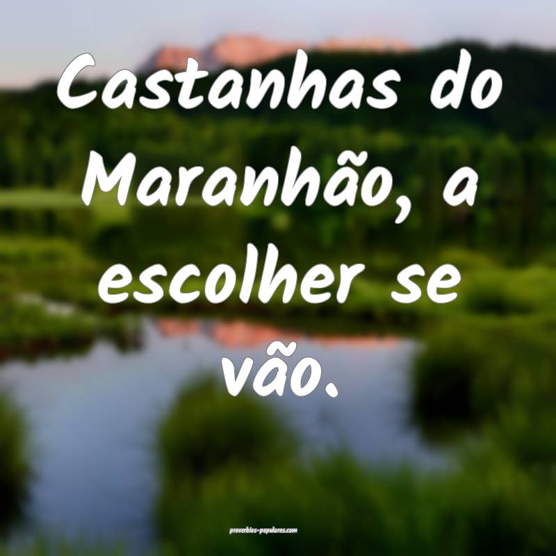 Castanhas do Maranhão, a escolher se vão.
...