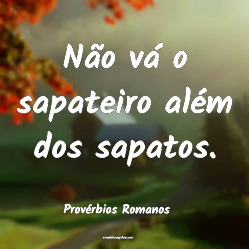 Não vá o sapateiro além dos sapatos.
...