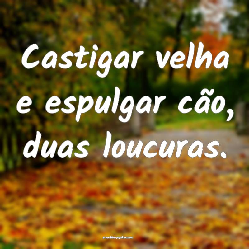 Castigar velha e espulgar cão, duas loucuras.
...
