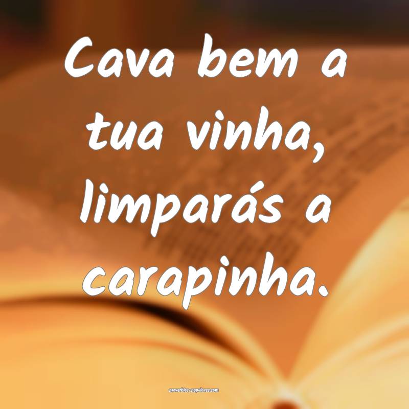 Cava bem a tua vinha, limparás a carapinha.
...