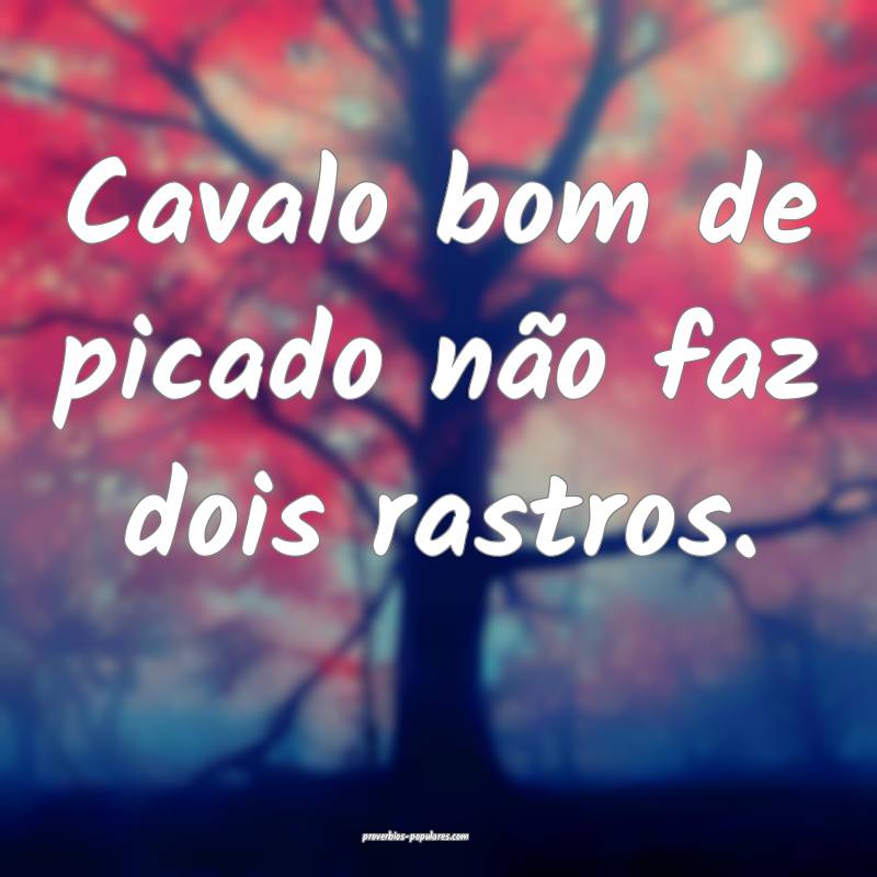 Cavalo bom de picado não faz dois rastros.
 ...