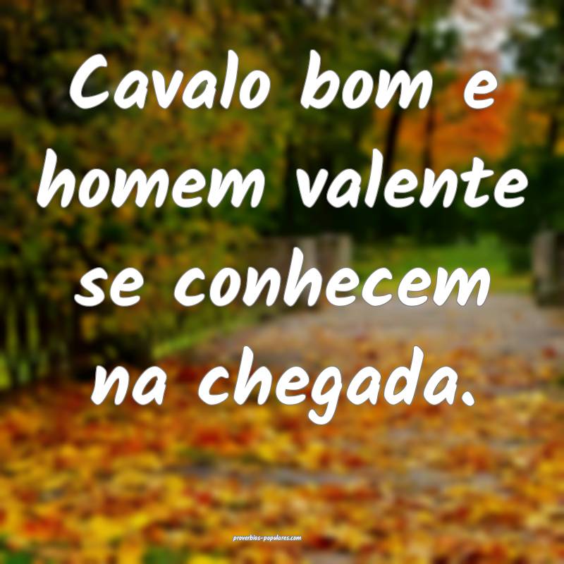 Cavalo bom e homem valente se conhecem na chegada.
...